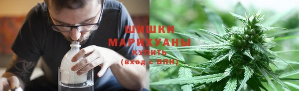 бошки Бородино