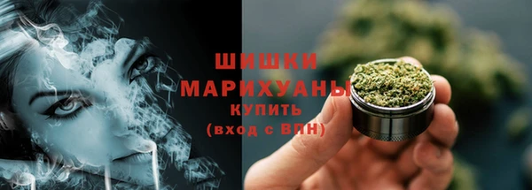 крисы Богородицк
