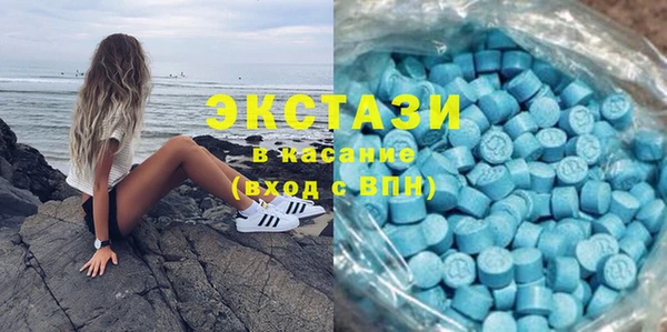крисы Богородицк