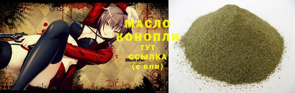 крисы Богородицк