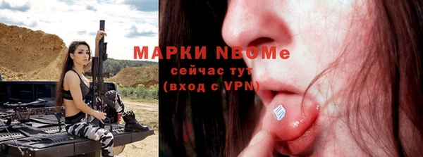 крисы Богородицк