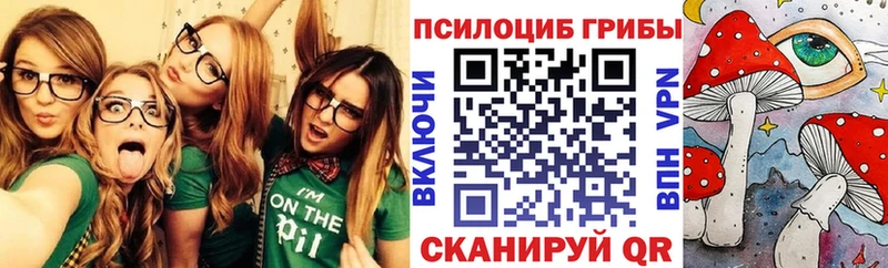 Галлюциногенные грибы MAGIC MUSHROOMS  нарко площадка телеграм  Минеральные Воды 