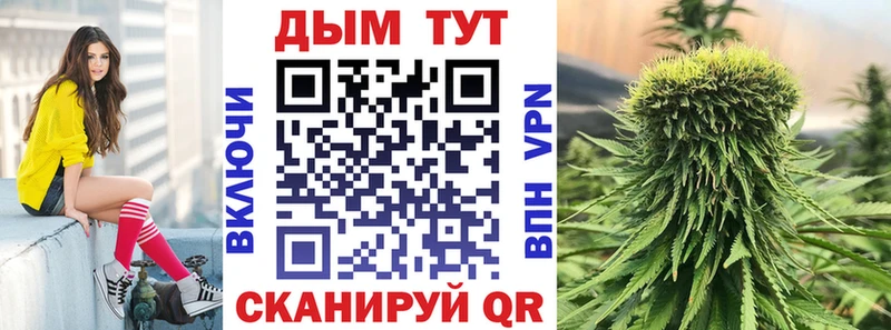 Каннабис тримм  наркотики  Минеральные Воды 